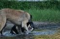 flaten_2008 jul 02_0364